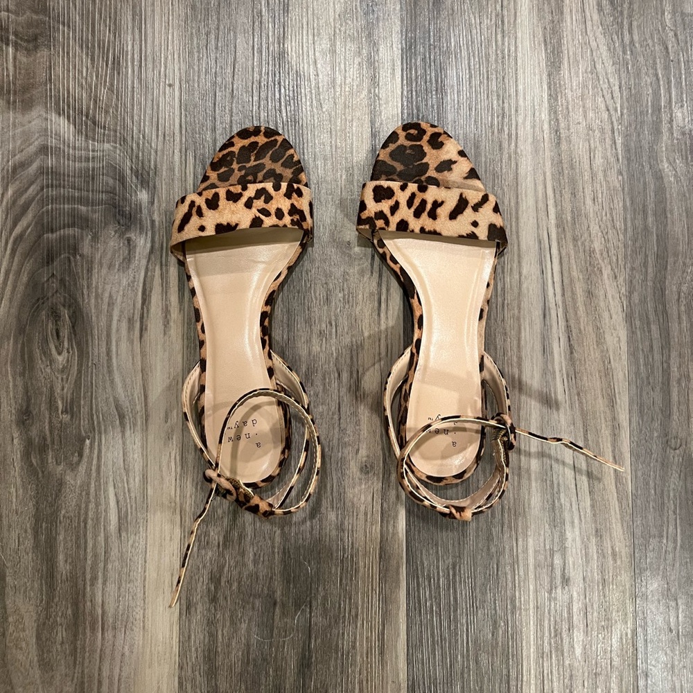 A new day flats